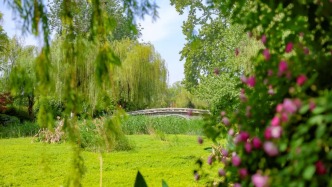 春日限定！濟(jì)南大明湖藏著一個(gè)莫奈仙境，超美超出片！