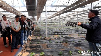 高原大棚里的“科技課”