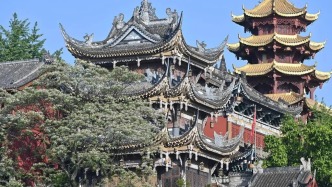 一眼沦陷！磁器口古镇里的苦楝树美到爆炸！