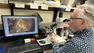 一簇苔蘚把盜墓犯送進(jìn)了監(jiān)獄