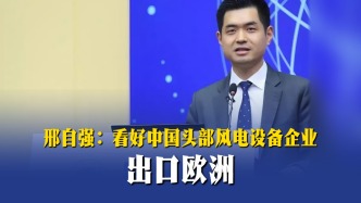 邢自強：看好中國頭部風(fēng)電設(shè)備企業(yè)出口歐洲