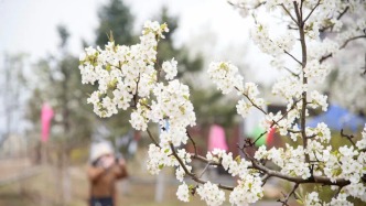 明日启幕！为期7天，等你赴约~