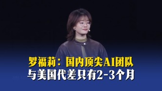 羅福莉：國內(nèi)頂尖AI團隊與美國代差只有2-3個月