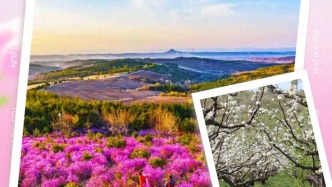 春韻延邊?花漾旅程！8條精品線路一鍵收藏！