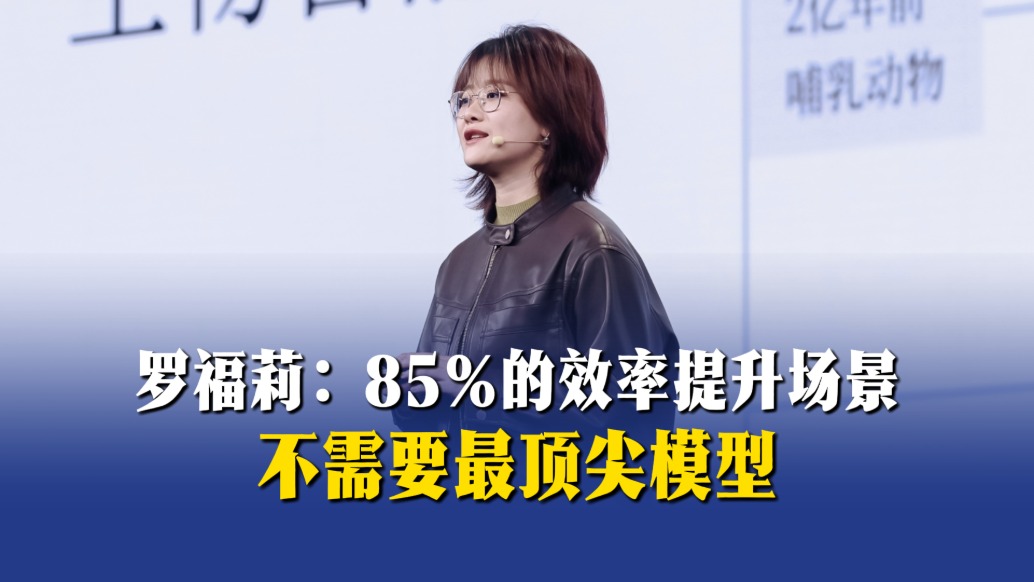 羅福莉：85%的效率提升場景不需要最頂尖模型