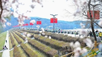看圖就知道有多燃！4800余人齊聚這里