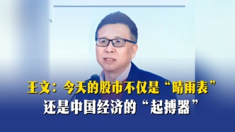 王文：今天的股市不仅是“晴雨表”，还是中国经济的“起搏器”