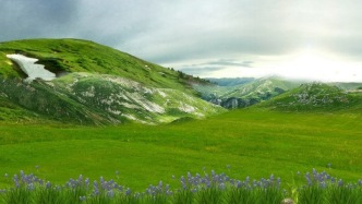 兰州大学科研团队最新成果 量化全球植物春季物候与霜害风险之间的权衡关系
