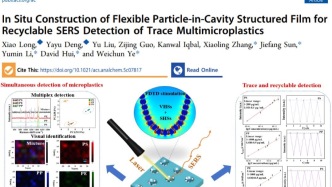 蘭州大學(xué)本科生團(tuán)隊在《Analytical Chemistry》發(fā)表研究成果 