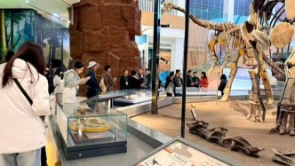 “'河'处相逢——诗意与镜头的黄河礼赞”临夏行活动启动