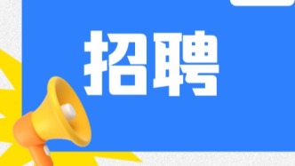 年薪超13万！桂城选聘6人