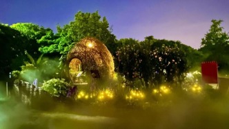 生态艺术治疗｜晚上逛公园，能改善睡眠吗？——夜访国际花卉节“心巢” 