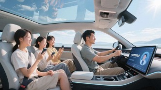 大模型上车，消费者说呵呵