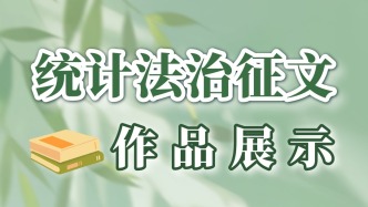 全市统计法治征文作品展示（下）