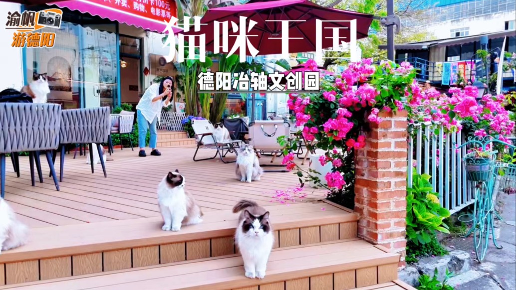 春游德阳冶轴文创园，打卡夏茉咖啡，撸猫赏花，尽享悠闲治愈时光