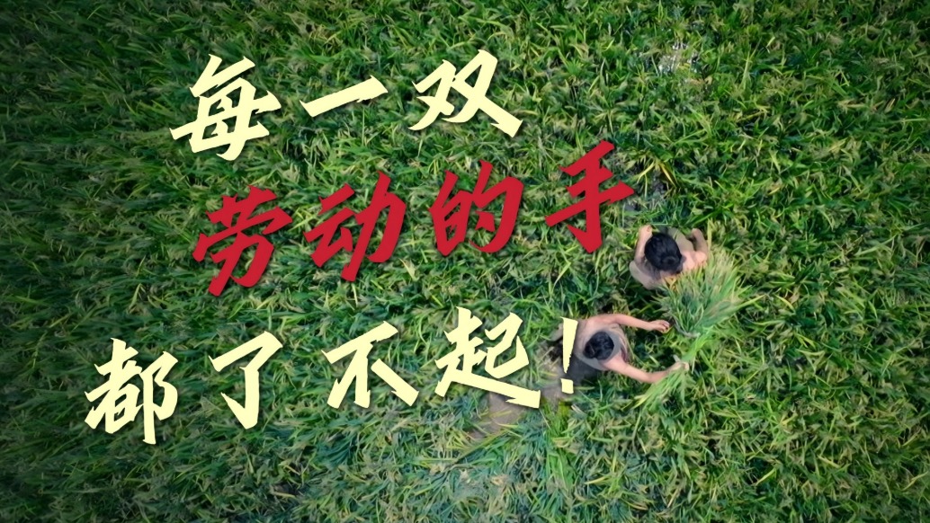 每一双劳动的手都了不起！ 致敬劳动者