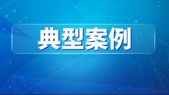 廣東發(fā)布2025年度數(shù)據(jù)知識(shí)產(chǎn)權(quán)典型案例