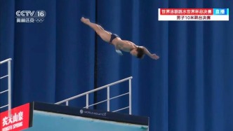 包攬9金！跳水世界杯中國隊全勝