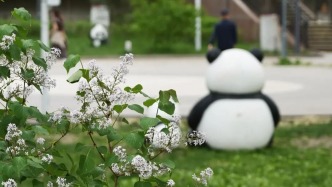 59種新方式，打開烏魯木齊豐茂的5月