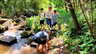 重慶老人帶著兩個(gè)小孫子，在溪邊抓螃蟹，這便是童年最美好的樣子