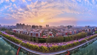 悄悄收好～小编私藏！边走边挖城市彩蛋，安静遛弯儿随手出片