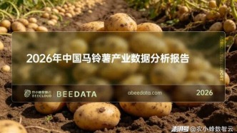 中国马铃薯产业格局：西南领跑，出口猛增