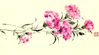 母亲节 | 老树：愿她好好的，眼角多欢欣