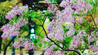 真香！每年准时“上头”！在线等你报坐标～