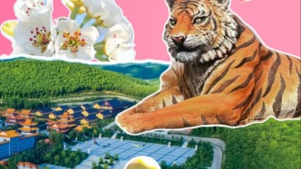 今天，“实力宠妈”！延边景点福利请收藏