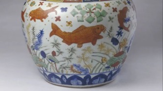 這條魚比人還會(huì)蹭熱點(diǎn)