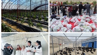 從黃河之濱到世界屋脊：蘭大公衛(wèi)團(tuán)隊(duì)用腳步丈量雪域 用初心守護(hù)西藏居民健康
