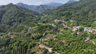 陕南平利：去看三里垭贡茶保护基地