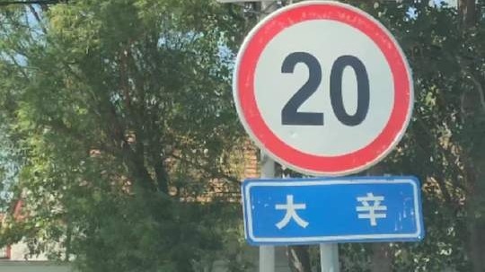 航拍美丽乡村，德州市陵城区-滋镇（大辛庄）连庄村，美丽乡村