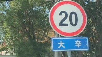 航拍美麗鄉(xiāng)村，德州市陵城區(qū)-滋鎮(zhèn)（大辛莊）連莊村，美麗鄉(xiāng)村