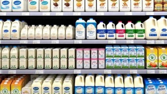 數(shù)據(jù)首發(fā)丨2026Q1乳制品市場回顧