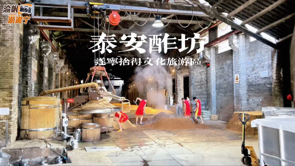 遂宁工业旅游，走进泰安酢坊，打卡明清窖池，领略射洪古老酿酒史