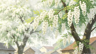 夜讀 | 槐花香里憶故鄉(xiāng)