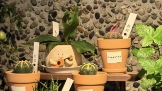 夏季养生，食养为先，你准备好迎接夏天了吗