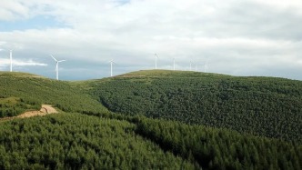自2023年6月打响攻坚战至今年4月底，河北累计完成“三北”工程建设任务1397万亩