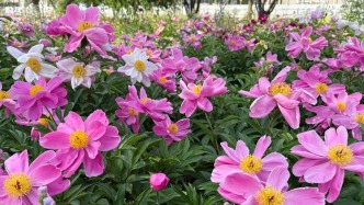 今天可能34℃！北京或連續(xù)6天超30℃，入夏了嗎？