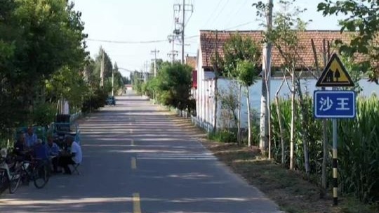 航拍美丽乡村,陵城区-滋镇(沙王村),美丽乡村