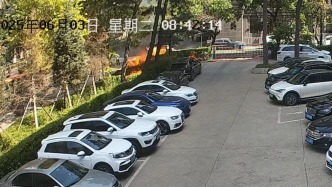 楊柳絮極易燃燒，請注意！