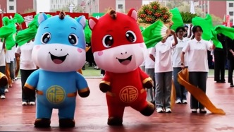 蘭大校運(yùn)會(huì)開幕式現(xiàn)場(chǎng)出現(xiàn)生態(tài)小馬，可愛暴擊