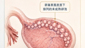 PMOS正式命名：一个误导90年的误称终于被更正了