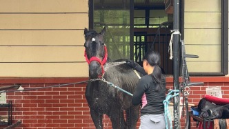 你去玩过吗？户外野骑成出游新宠