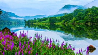 一场招商推介会，看见吉林文旅无限可能！