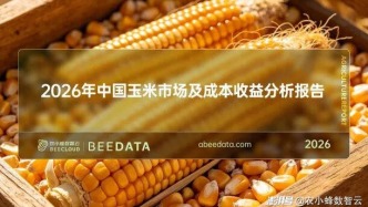 糧價下行、成本上漲，玉米產(chǎn)業(yè)該怎么走？