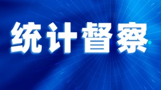 国家统计局召开2026年常规统计督察动员部署会