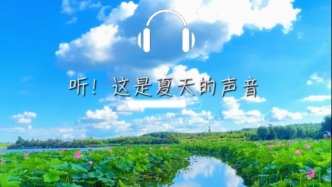  聽！這是夏天的聲音