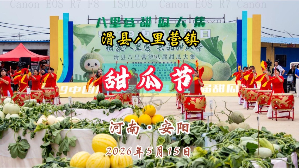 甜瓜节:滑县八里营镇丨河南·安阳
